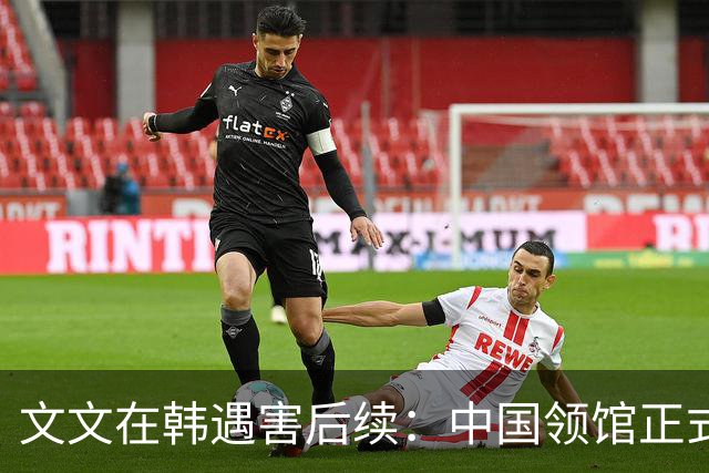 文文在韩遇害后续：中国领馆正式介入，她其实不必亲自去领毕业证